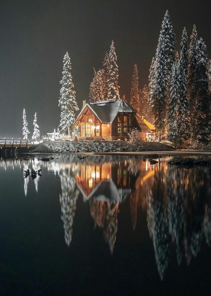 Winter night