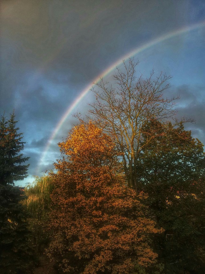 Regenbogen