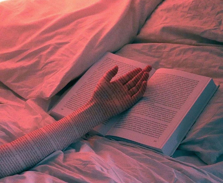 Reader