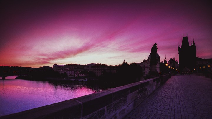 Purple View