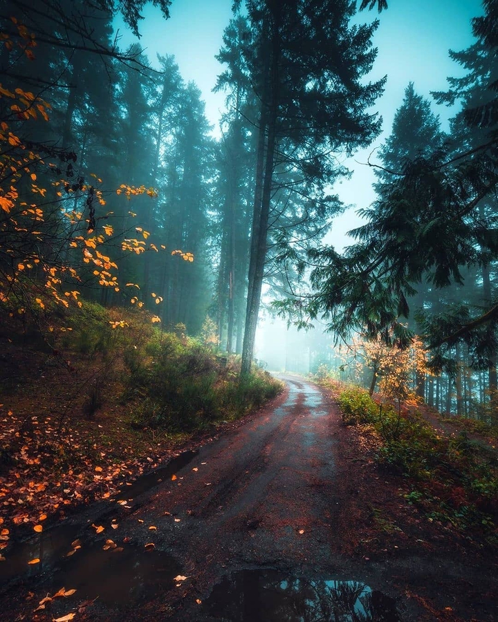 nature