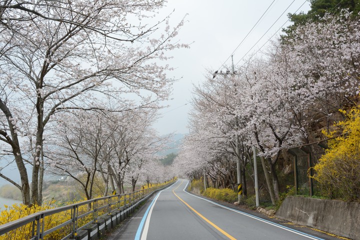 풍경이미지