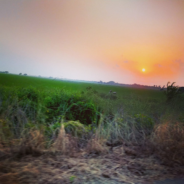 Nature