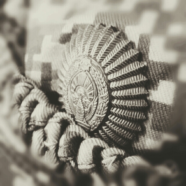 The Uzbekistan Army