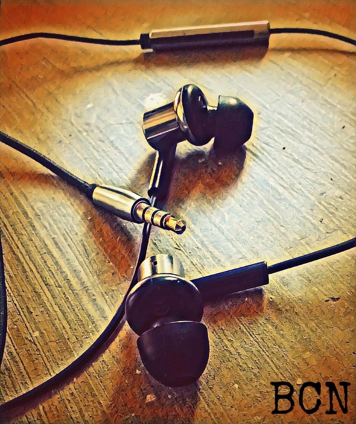 Earphone ###Headset