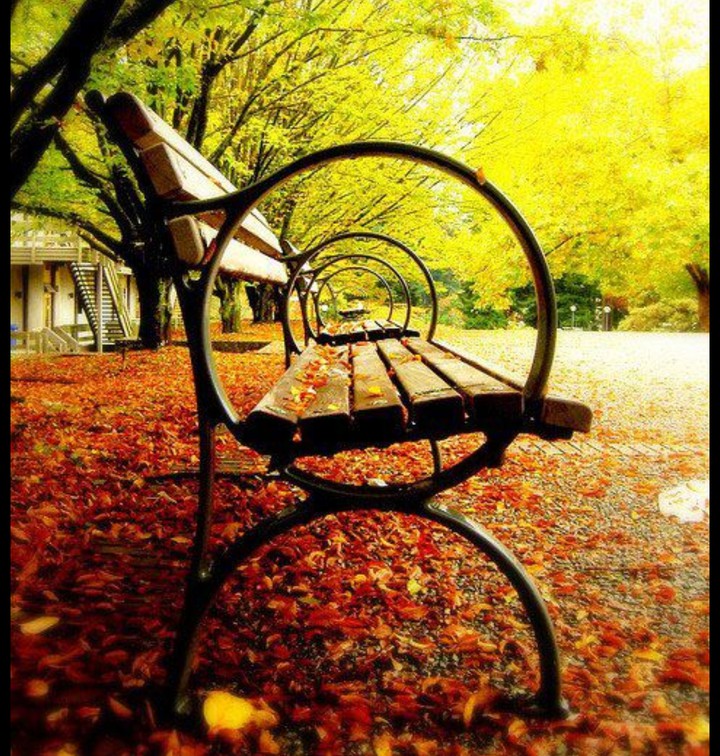 Bench