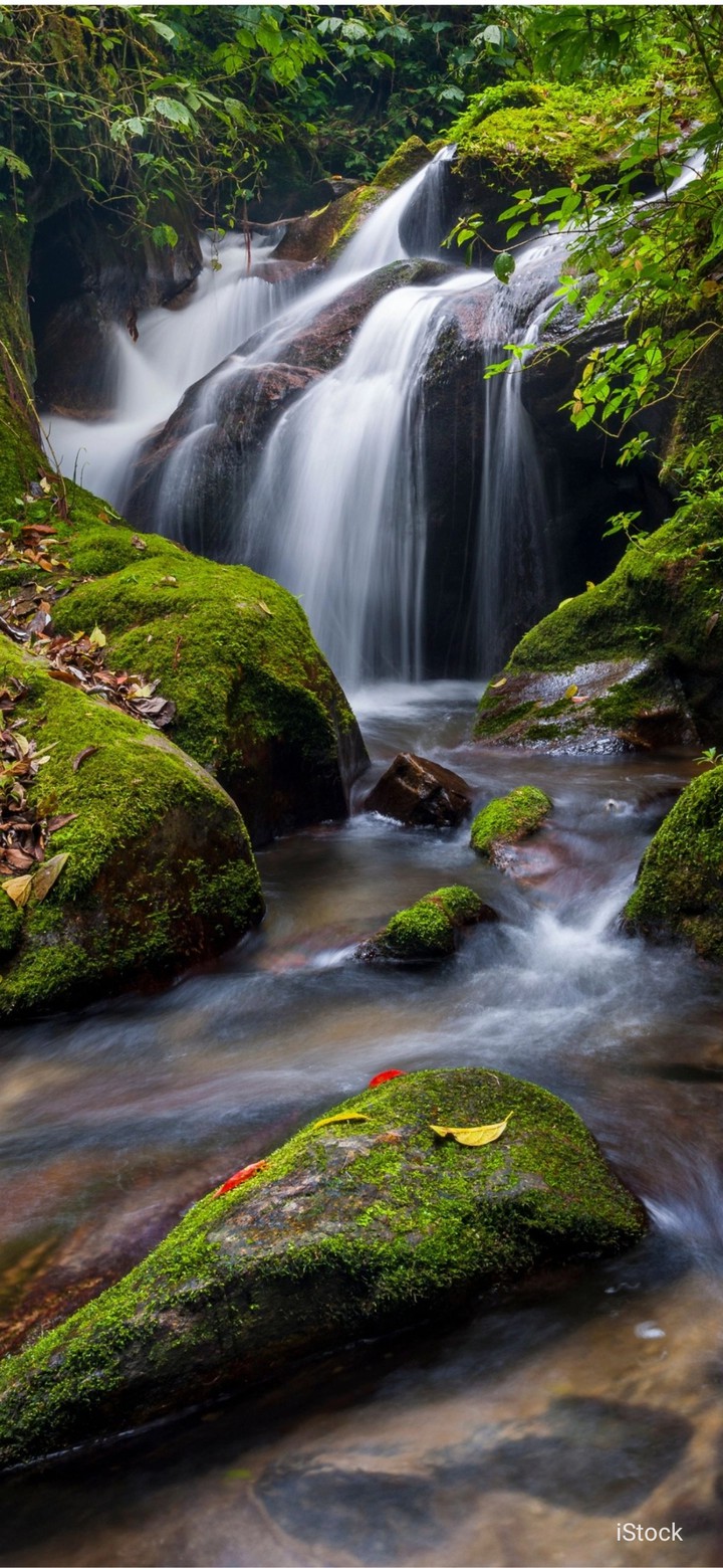 waterfall