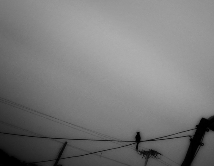 Alone