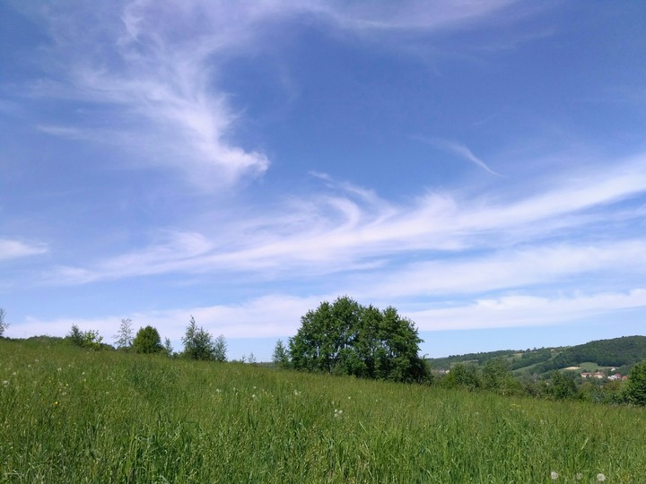 Sky