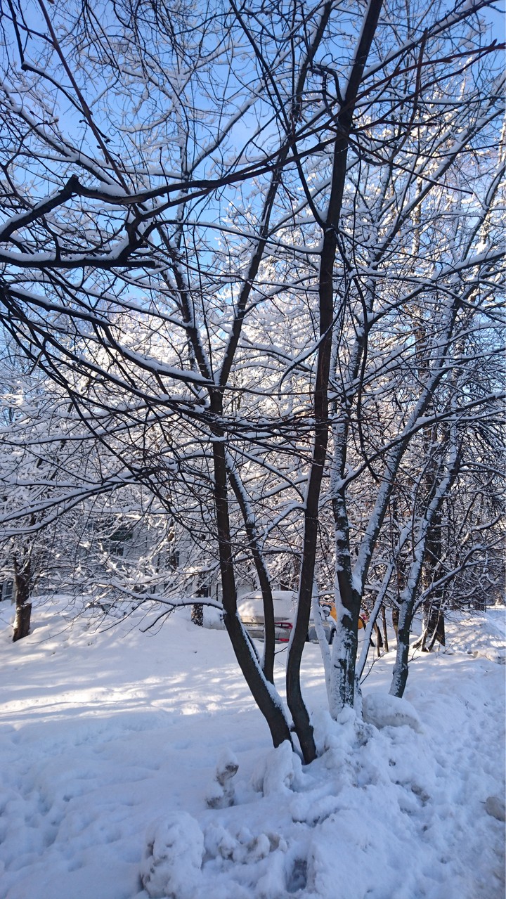 winter in moscow