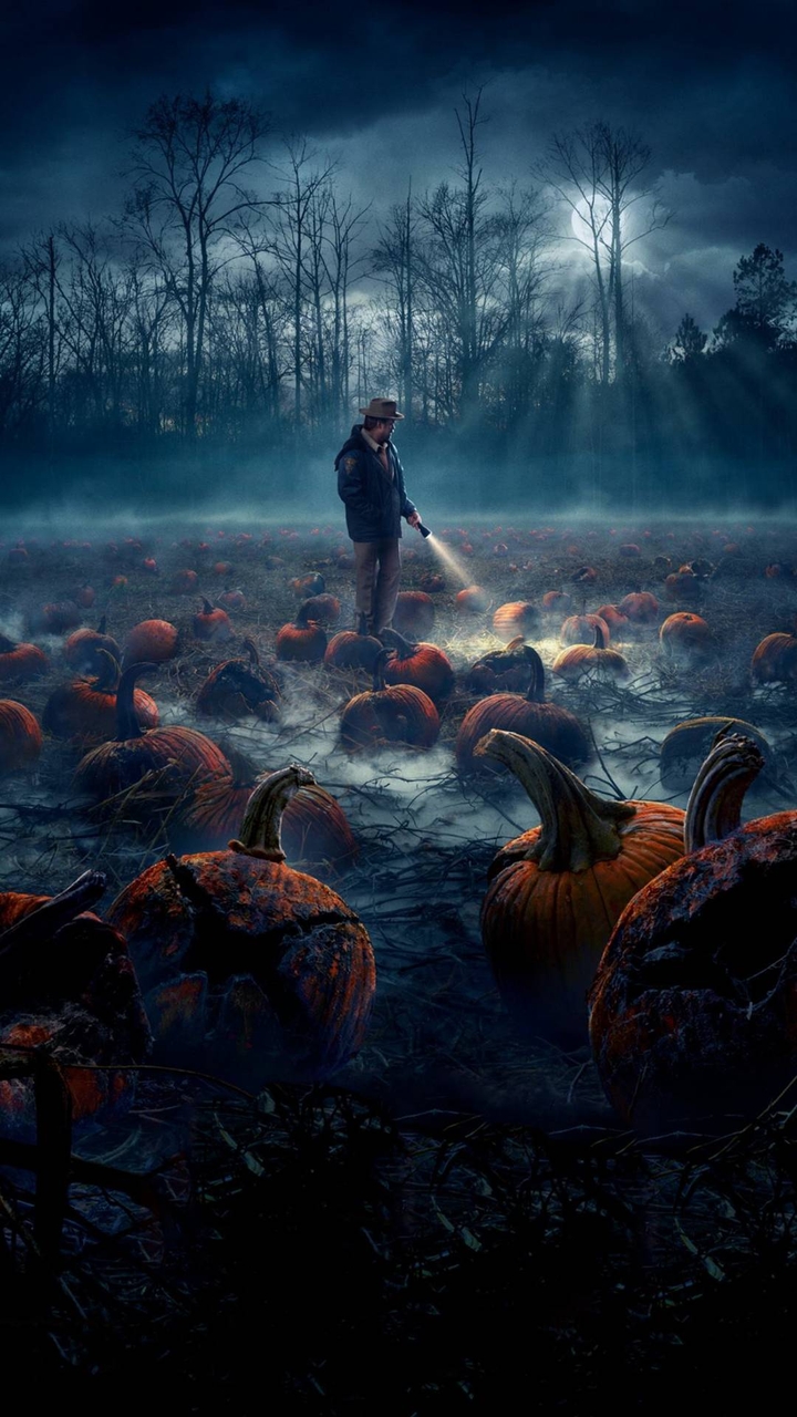 Pumpkin Field