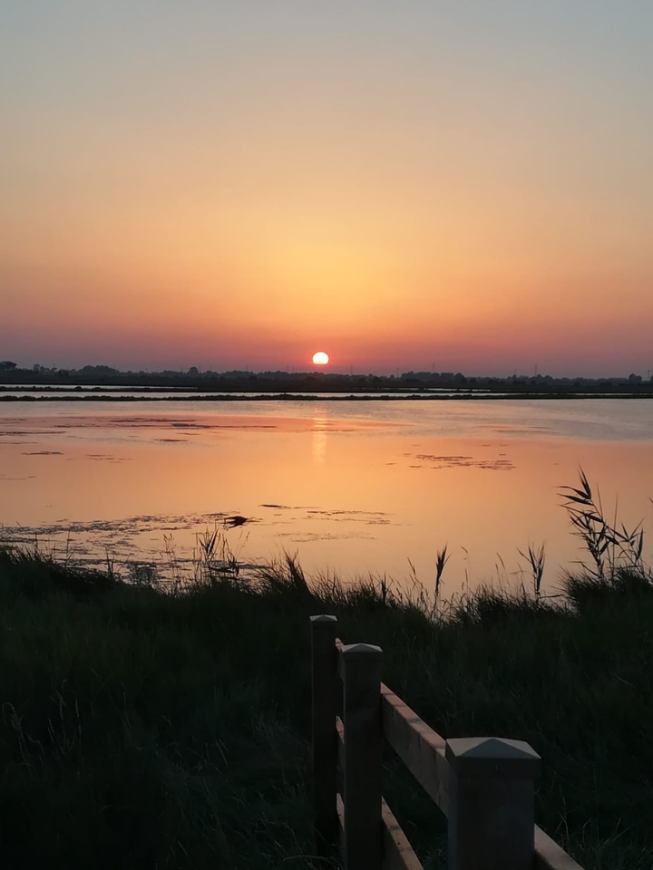 goodbye Sun