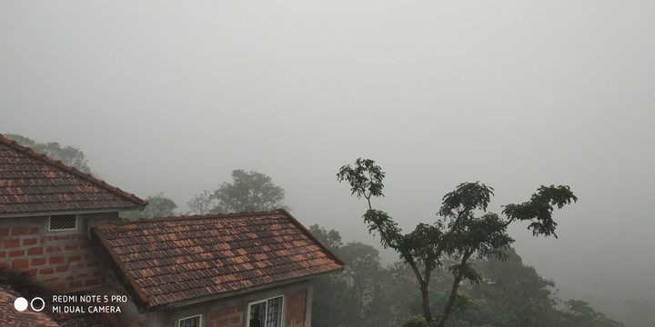 misty