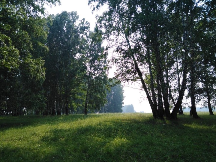 nature