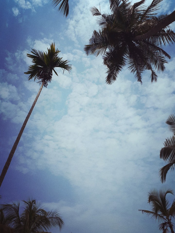 SKY sky
