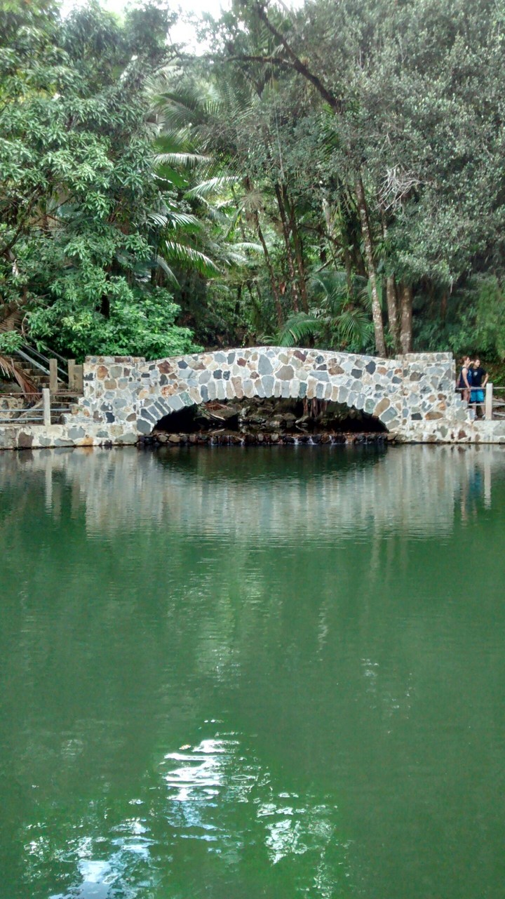 El Yunque, Rainforest