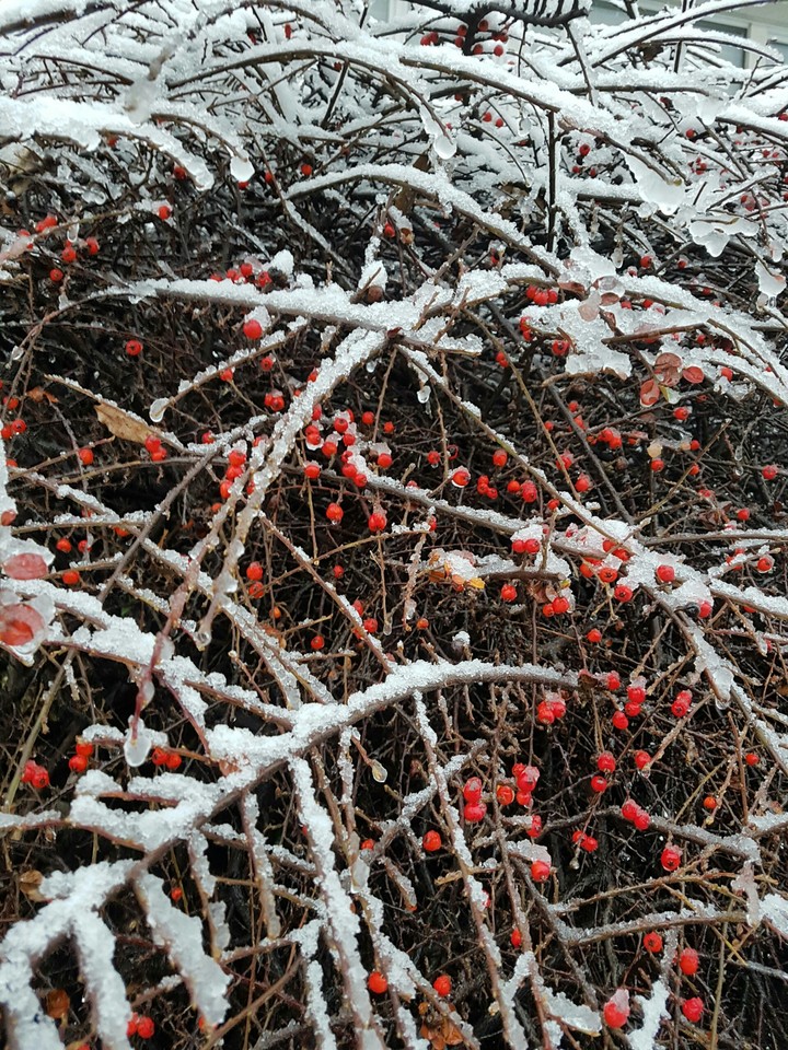 snow