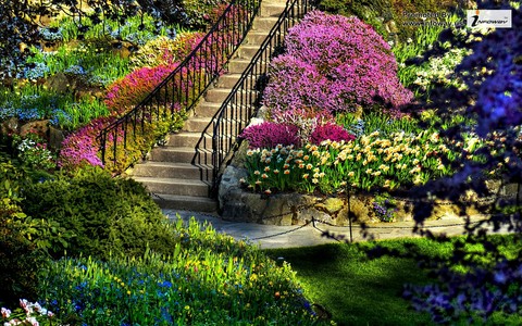 Flowered staircase