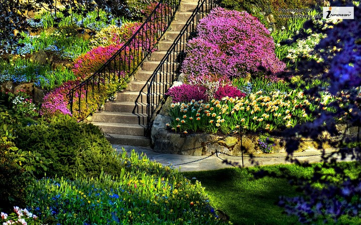 Flowered staircase
