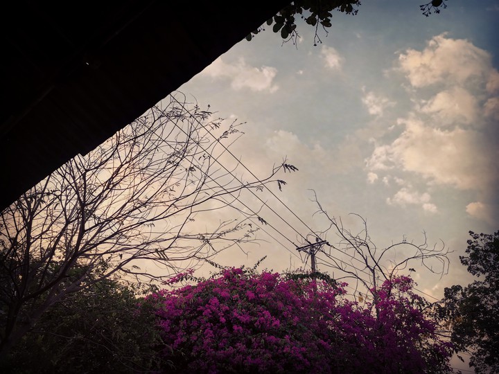 dawn