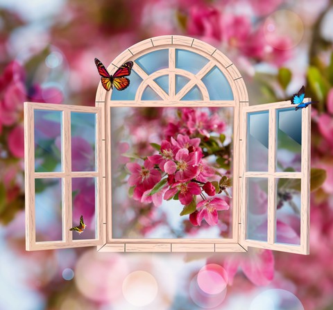 window, twig Hintergrundbilder