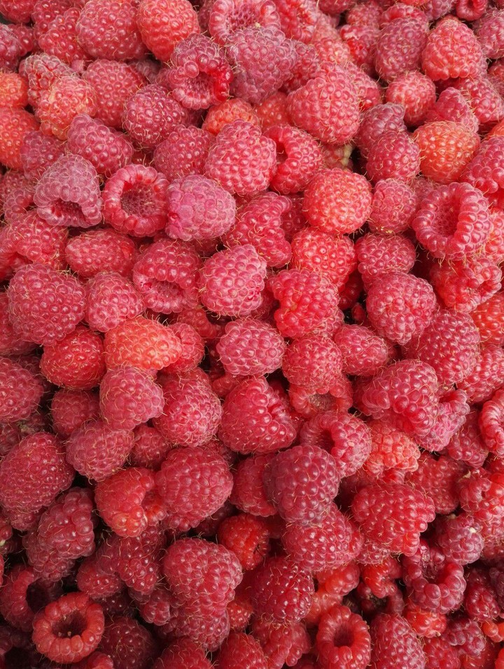 berry