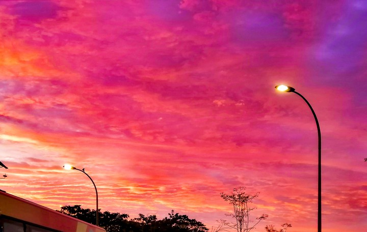 Morning Scenery