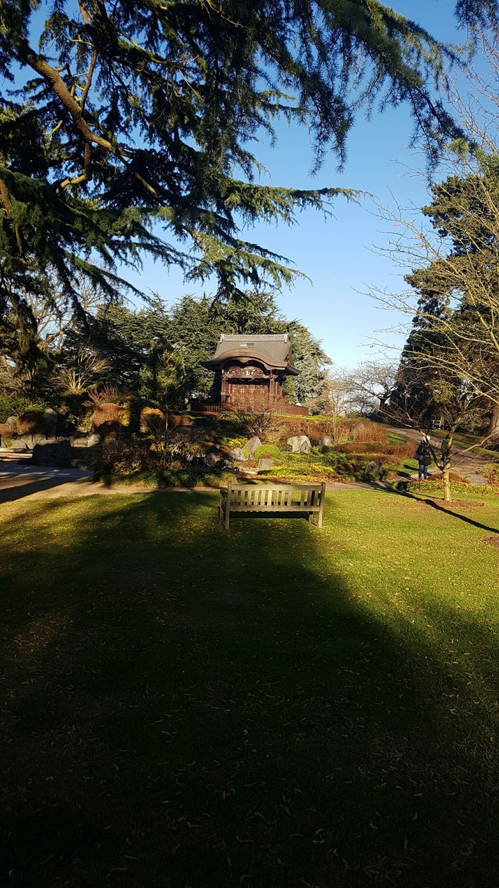 Kew Garden 3
