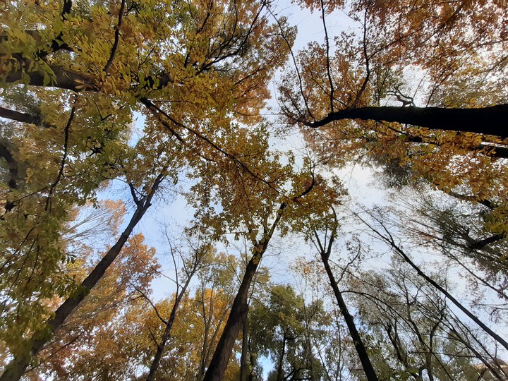 Autumn in Bishkek