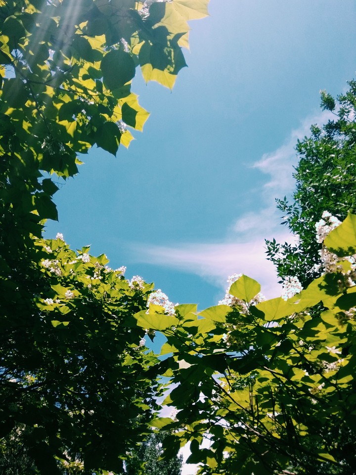 sky