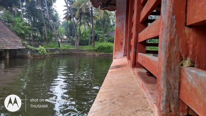 GREEN WATER