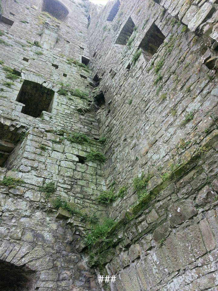 Old walls of the castle