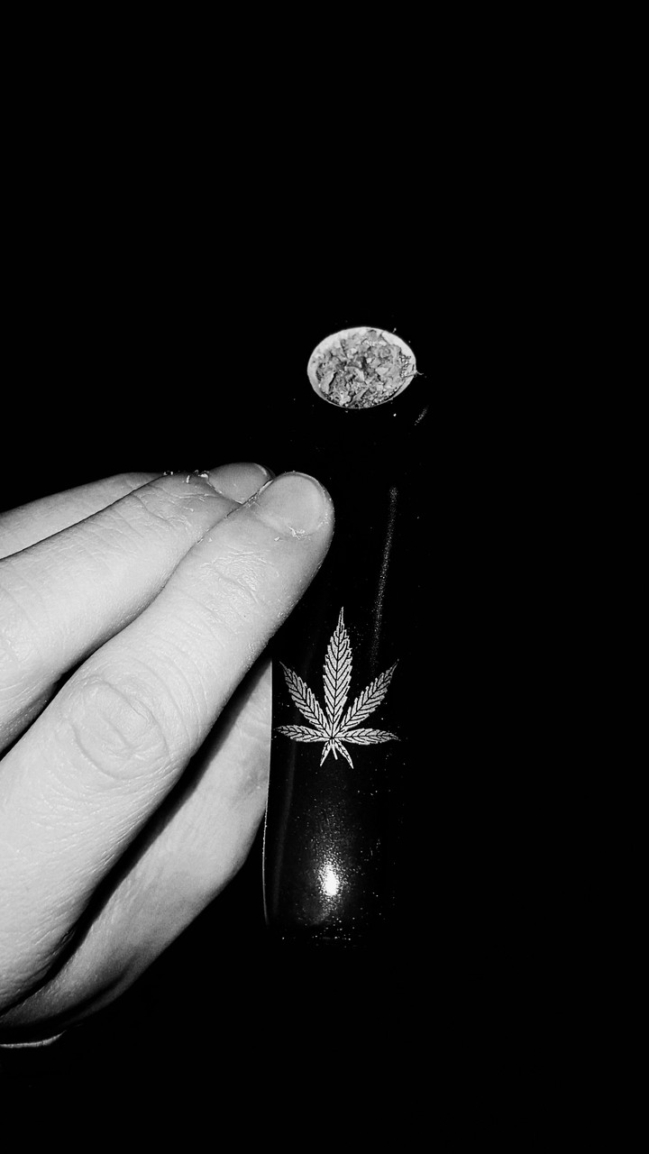 piper ganja