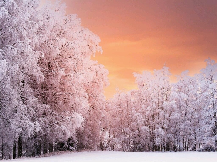 trees....