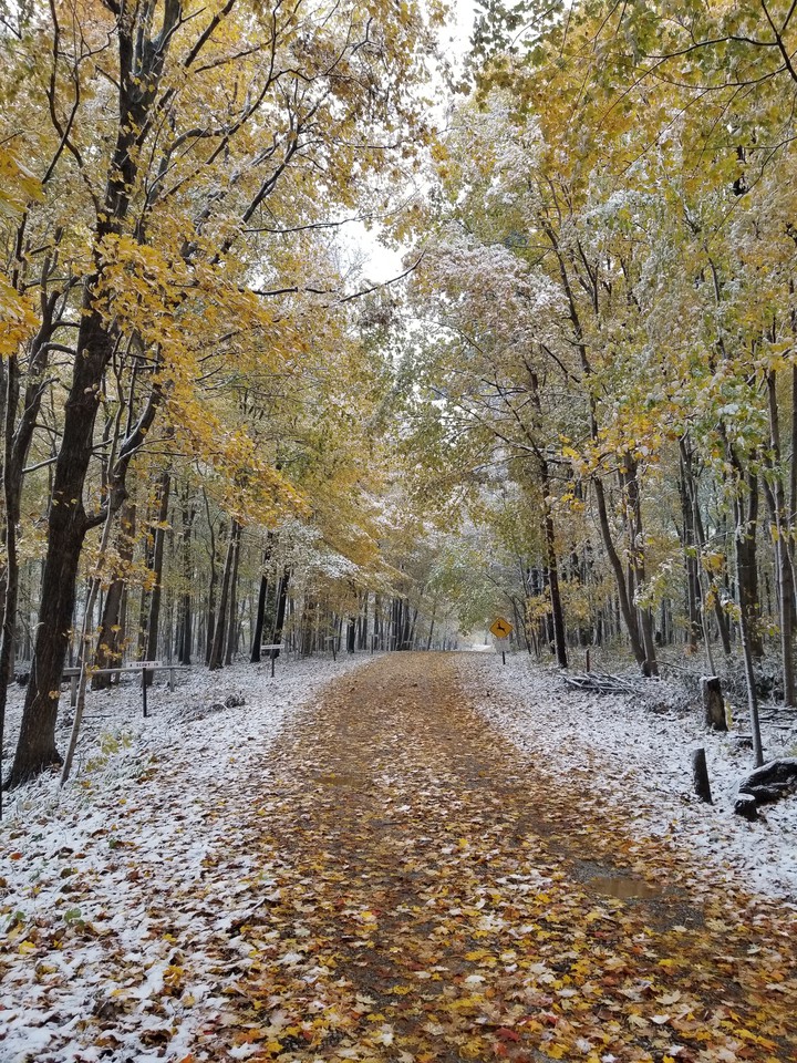 Seasons Meet
