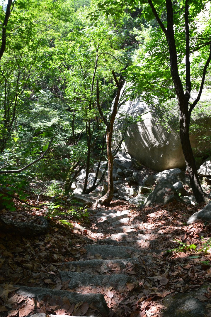 수락산이미지