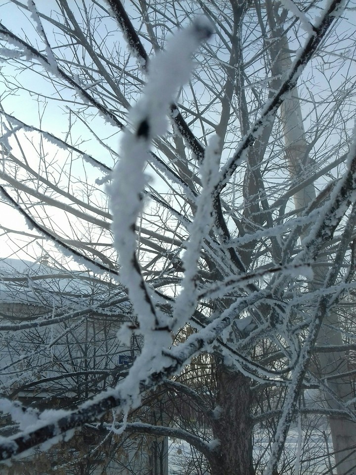 ❄❄❄