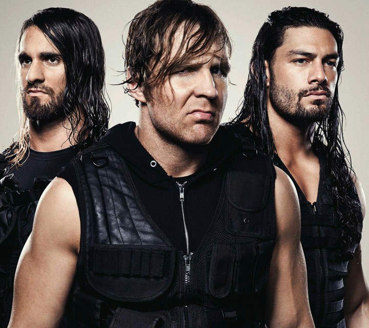 The Shield ( Seth Rollins, Dean Ambrose, Roman Reigns )