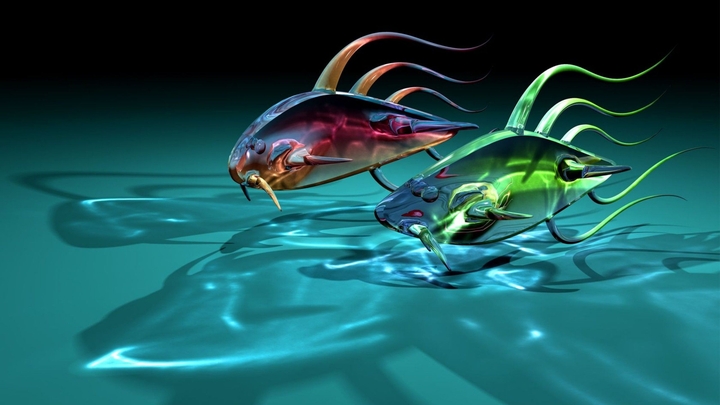 fish