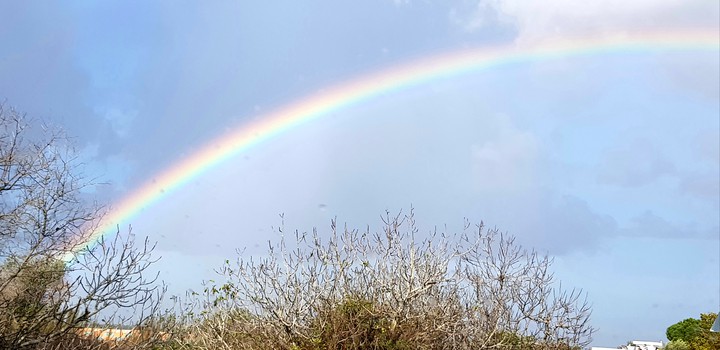 Look up, a rainbow in the sky!