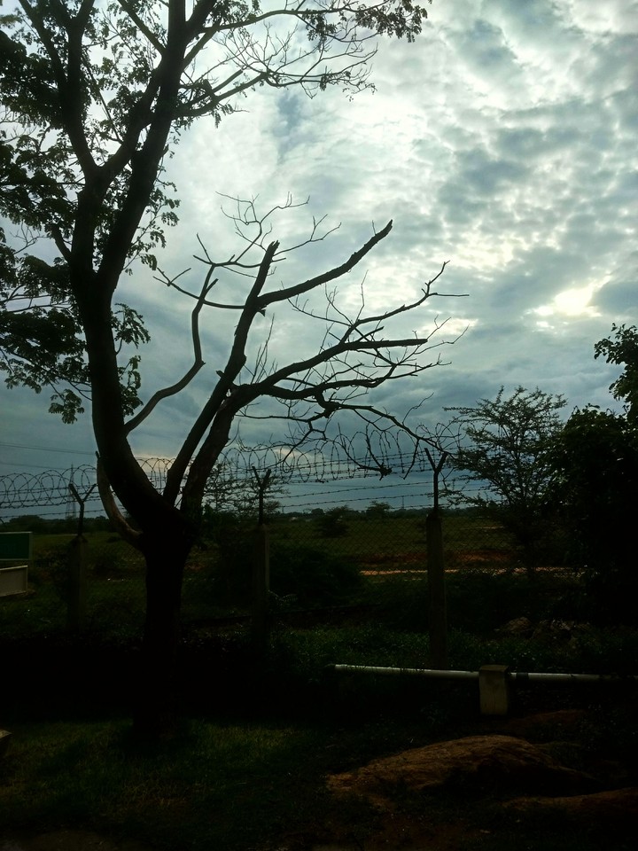 THE BORDER