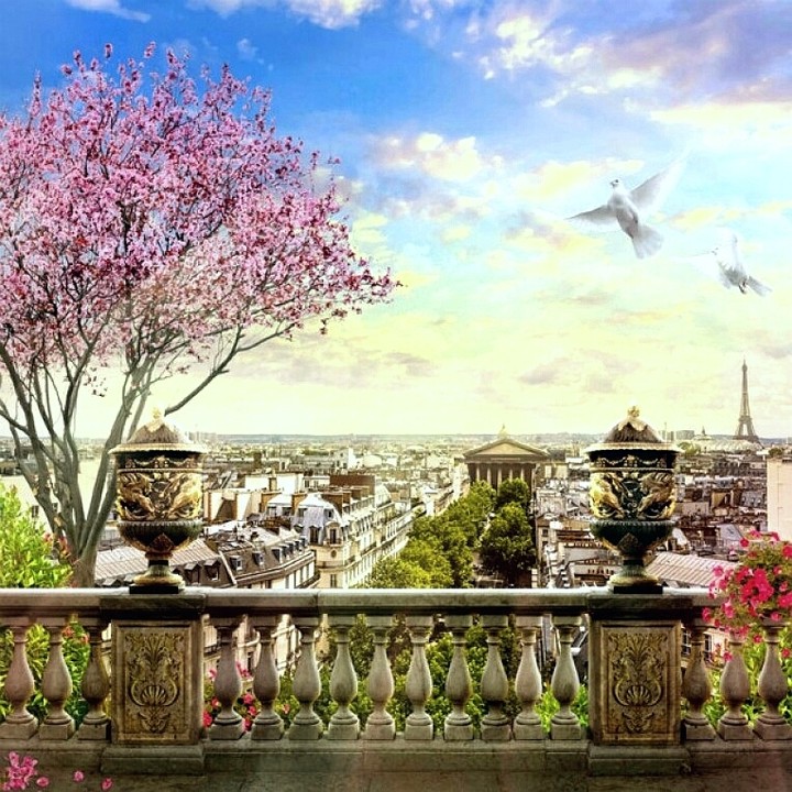 spring