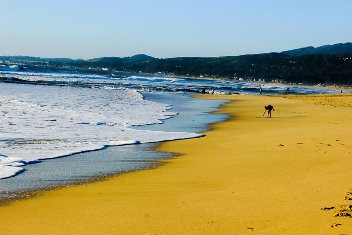 Beach