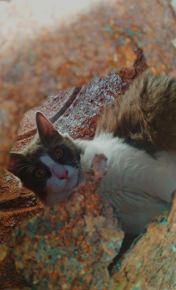 my baby