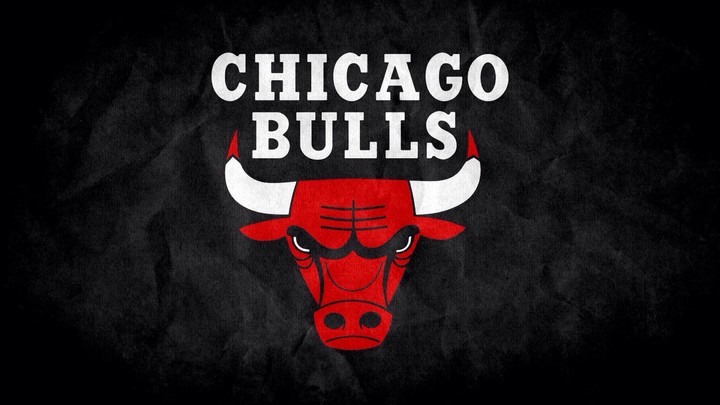 bulls