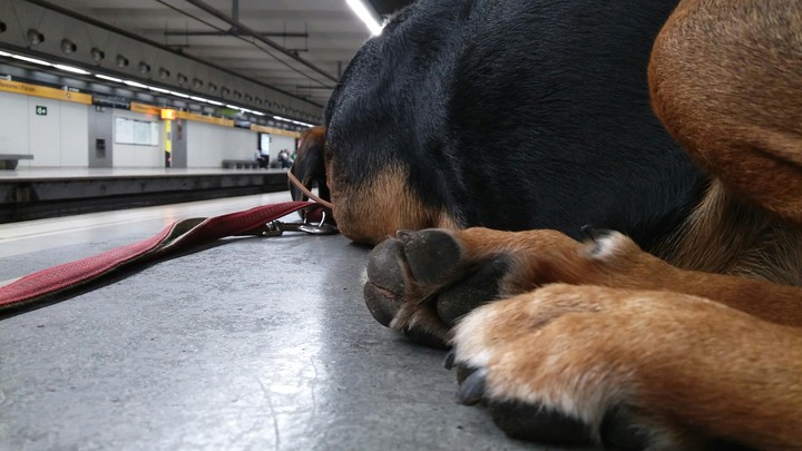 Myself,  my best friend in Barcelona Spain - subway station