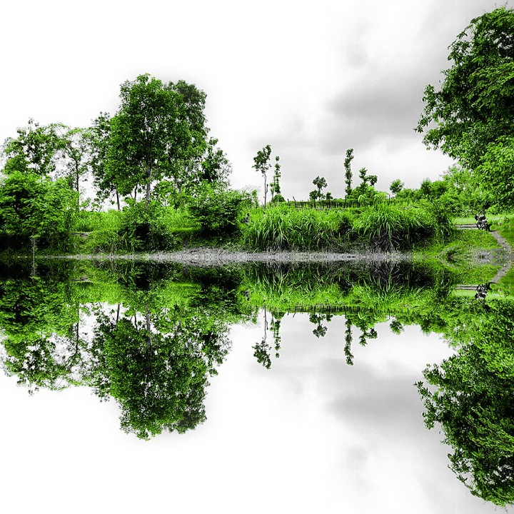 mirror effect
