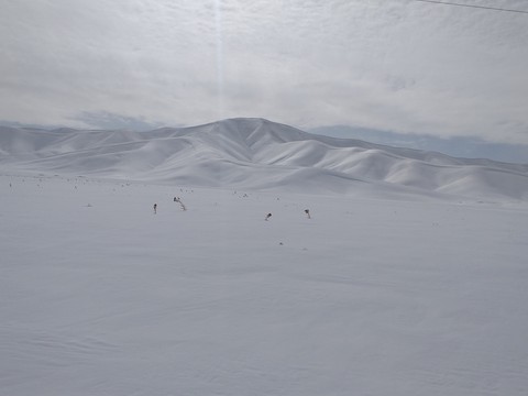 country(IRAN)---City(BEN)