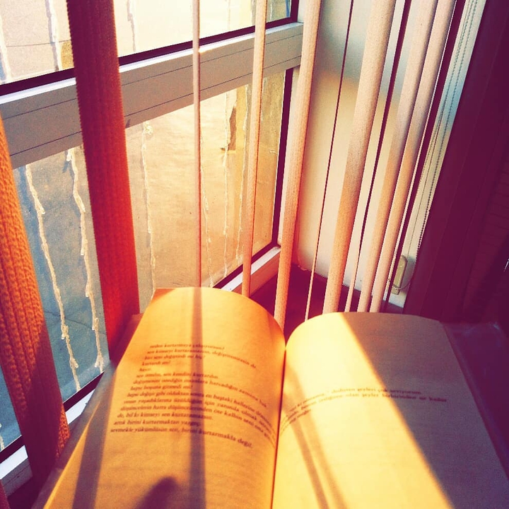 Book