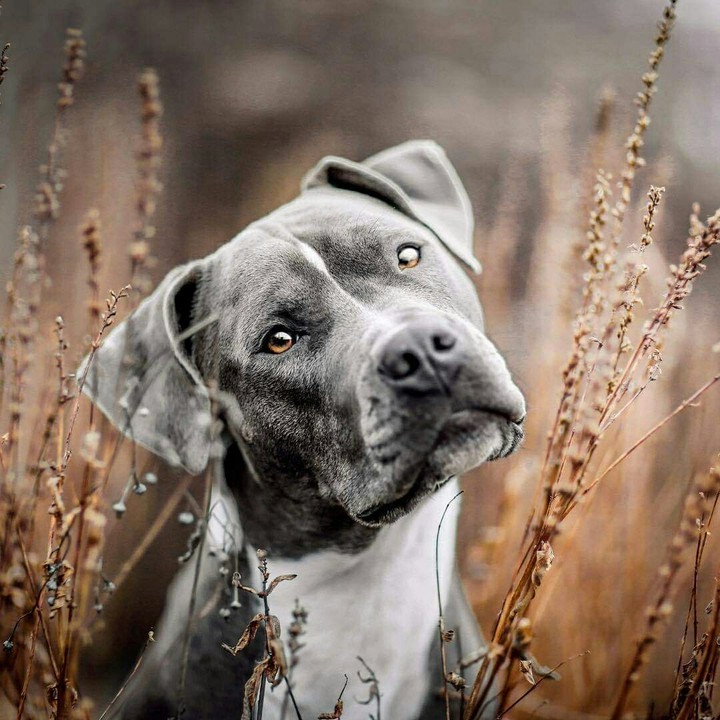 ☺☺☺